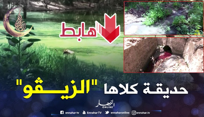 حديقة الأوساخ ببني صاف