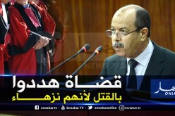 زغماتي : نزاهة القضاة خط أحمر وممنوع التشكيك في حيادهم