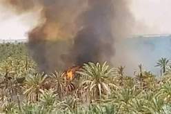بالصور.. حريق بواحة للنخيل في المقارين بولاية ورقلة