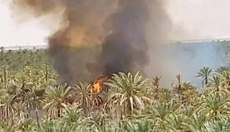 بالصور.. حريق بواحة للنخيل في المقارين بولاية ورقلة