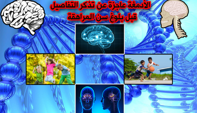 فيديو.. الأدمغة عاجزة عن تذكر التفاصيل قبل المراهقة