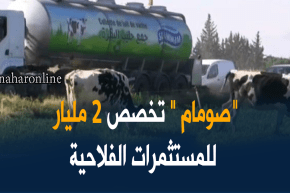 ملبنة الصومام تخصص 2 مليار دج لإنشاء مستثمرات فلاحية عبر مختلف ولايات الوطن