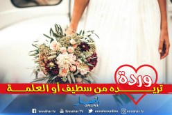 حلمي سيتحقق معك يا توأم الروح   