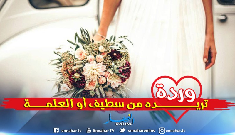 حلمي سيتحقق معك يا توأم الروح