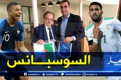 هذا ما اتفق عليه زطشي ولوغريت بخصوص ودية الخضر والديكة