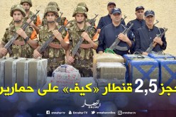 حجز قنطارين ونصف القنطار من الكيف على ظهر حمارين ببني بوسعيد في تلمسان