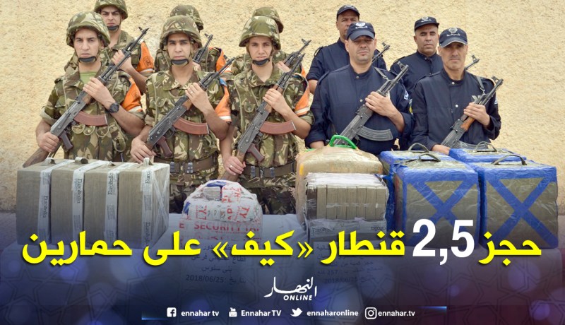 حجز قنطارين ونصف القنطار من الكيف على ظهر حمارين ببني بوسعيد في تلمسان