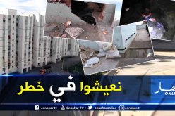 وهران: تسرب مياه قبو عمارة ينذر بالخطر في سيدي البشير