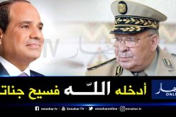 عبد الفتاح السيسي: شخصية الفريق ڨايد صالح جديرة بالإحترام والتقدير