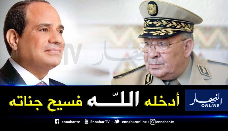 عبد الفتاح السيسي: شخصية الفريق ڨايد صالح جديرة بالإحترام والتقدير