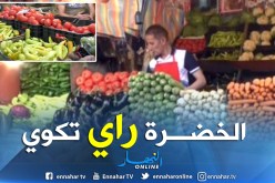 هذا هو سبب غلاء أسعار الخضر قبيل عيد الأضحى