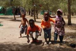 هذه هي نتائج تحقيق حول الاطفال المهاجرين بالجزائر