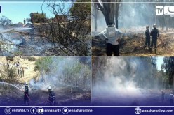 الشلف: إندلاع حريق في حصيدة يحدث حالة طوارئ ببقعة الرواضي