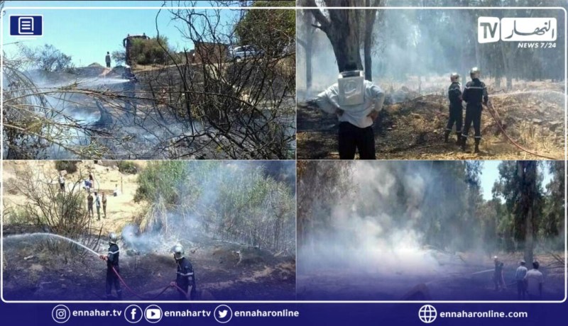 الشلف: إندلاع حريق في حصيدة يحدث حالة طوارئ ببقعة الرواضي
