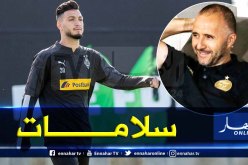 بلماضي يتلقى أخبارا سارة من ألمانيا