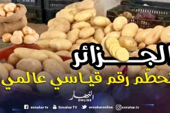 الجزائر رقم 1 في استهلاك البطاطا