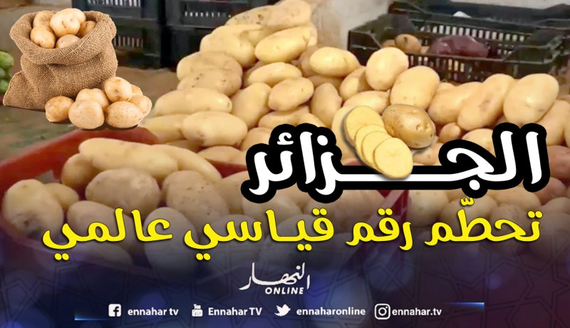 الجزائر رقم 1 في استهلاك البطاطا