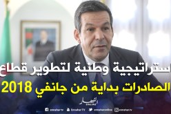 «استراتيجية وطنية لتطوير قطاع الصادرات بداية من جانفي 2019»