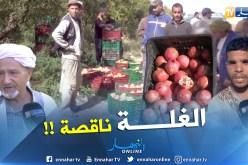 بالفيديو.. انتاج الرمان يكبّد الفلاح خسائر كبيرة بالجلفة