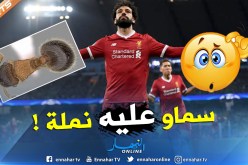 حشرة جديدة تحمل إسم “محمد صلاح” !!