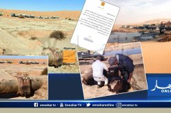 سوناطراك تتحرك وتصدر بيانا بعد فيديو “نهر النفط” في الصحراء