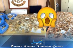 بالصور.. الجمارك تحجز أكثر من 13 كلغ ذهب بمطار وهران