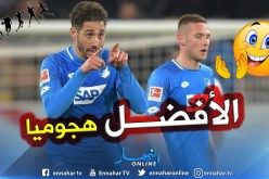 “بلفوضيل” يتصدر هدّافي “الخضر” أوروبياً