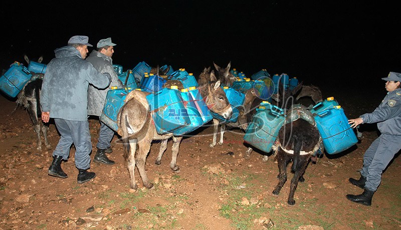 احباط محاولات لتهريب 050 2 لتر من الوقود بتلمسان