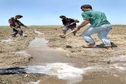 الدولة توقف دعم الفلاحين وتفرض TVA على الأسمدة