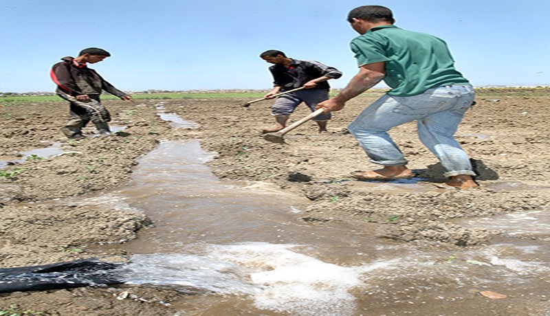 الدولة توقف دعم الفلاحين وتفرض TVA على الأسمدة
