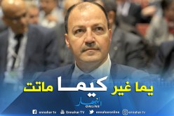 بالفيديو.. حطاب:”أطالب من الجميع عدم شتم عائلتي”