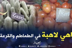 رمضان.. إرتفاع جنوني في أسعار الطماطم والكوسة
