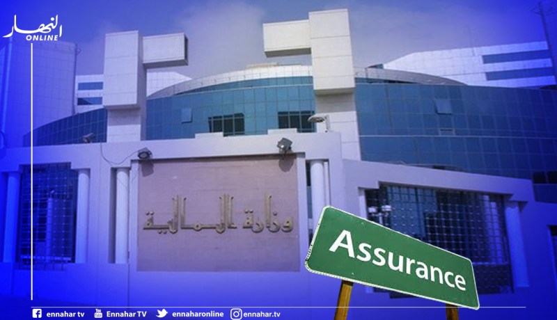 وزير المالية يطالب شركات التأمين بمعالجة ملفات التعويضات في أقل من 21 يوما
