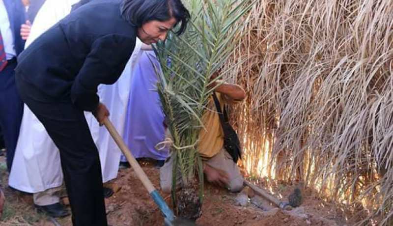 بالصور…زيارة فاطمة الزهراء زرواطي الى ولاية غرداية