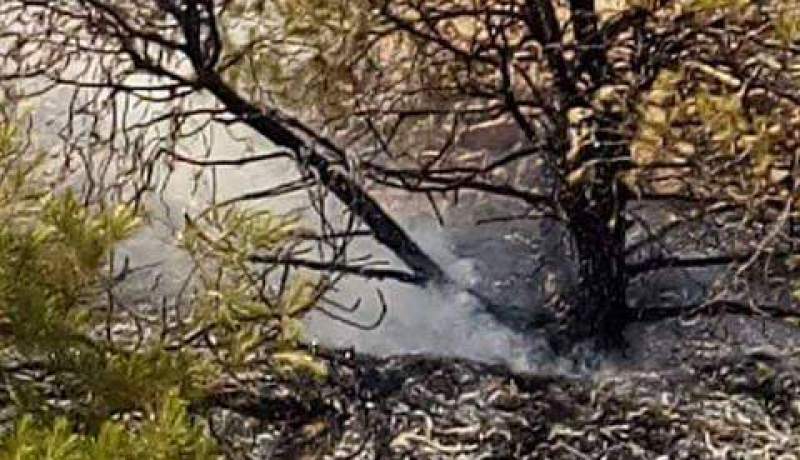 النعامة: إخماد حريق بغابة جبل عنتر بالقرب من ثكنة عسكرية
