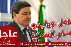 العدالة تستدعي المدير العام السابق للأمن الوطني اللواء المتقاعد هامل وإبنه