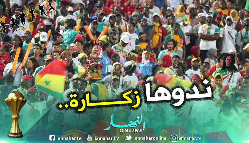 مُدرجات “ملعب القاهرة” تكشف حقيقة المصريين!