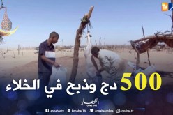 إنتشار المذابح العشوائية في رمضان بأدرار
