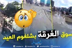 بالفيديو.. هذا هو مستنقع الجملة للخضر والفواكه بشلغوم العيد