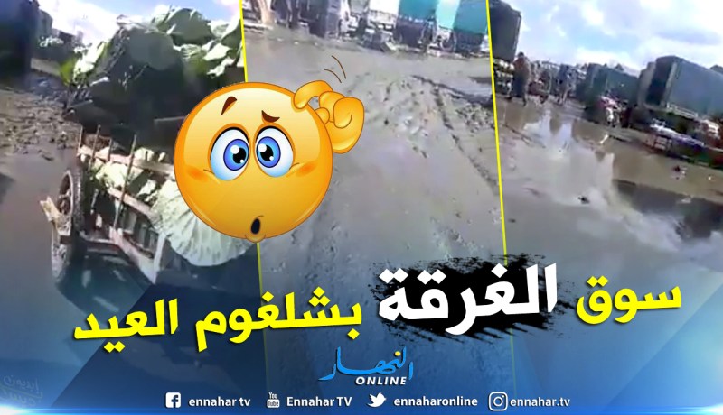 بالفيديو.. هذا هو مستنقع الجملة للخضر والفواكه بشلغوم العيد
