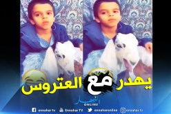 بالفيديو .. أول مترجم لصوت التيس في العالم