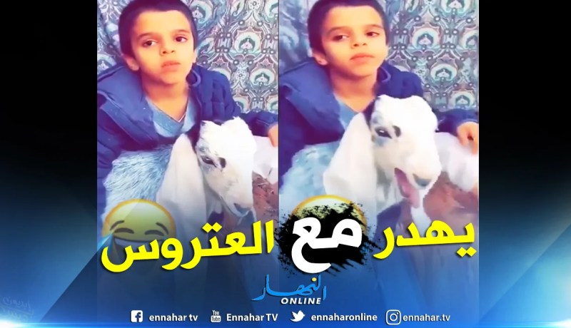 بالفيديو .. أول مترجم لصوت التيس في العالم