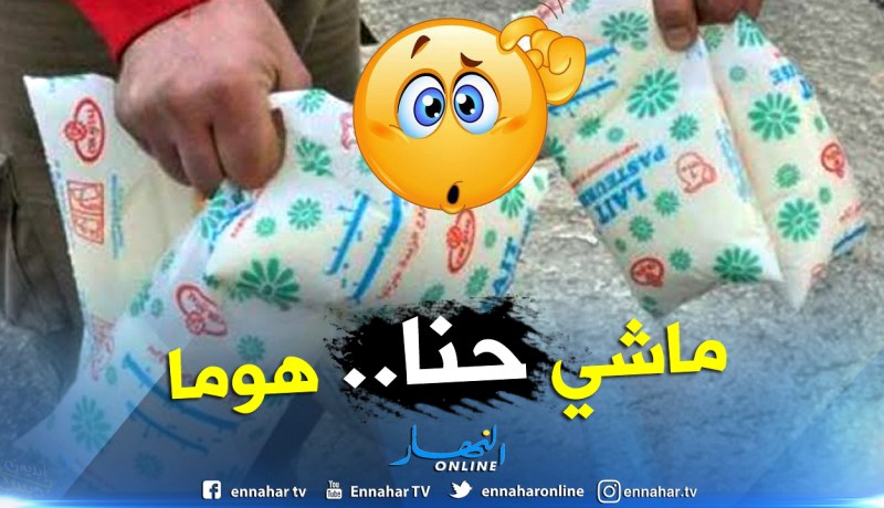 مدير ديوان الحليب: نستورد 600 مليون دولار بودرة والموزعين وراء أزمة الحليب