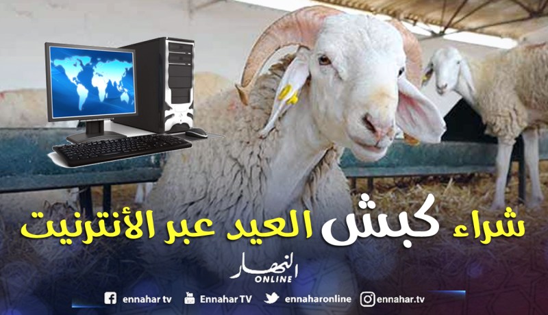 شراء سندات «الأضحية» للحاج الجزائري عن طريق الأنترنت