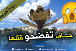 سطيف : شاب يقتل عشيقته ب”تورنوفيس” وسط المدينة