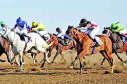 الاغواط: مربو وملاّك الخيول في إضراب مفتوح