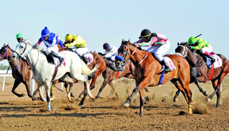 الاغواط: مربو وملاّك الخيول في إضراب مفتوح