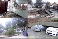 قتيل وعائلات منكوبة في 9 ولايات بسبب الرياح