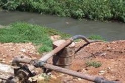 خضر وفواكه تُسقى بالمياه القذرة في تمالوس كركرة بسكيكدة