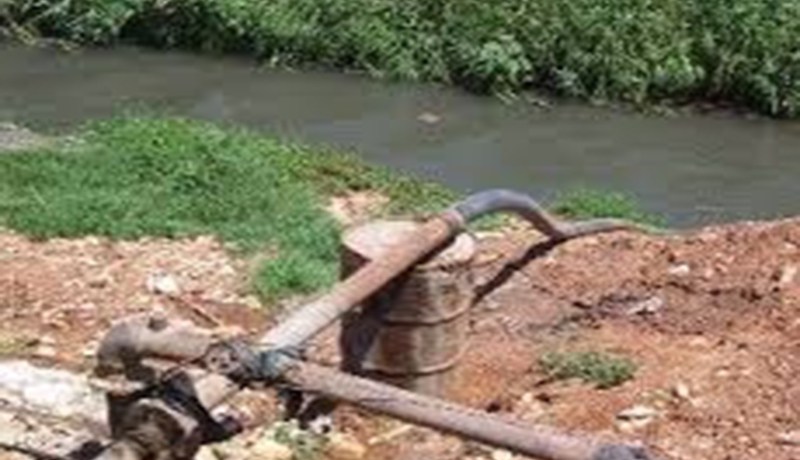 خضر وفواكه تُسقى بالمياه القذرة في تمالوس كركرة بسكيكدة